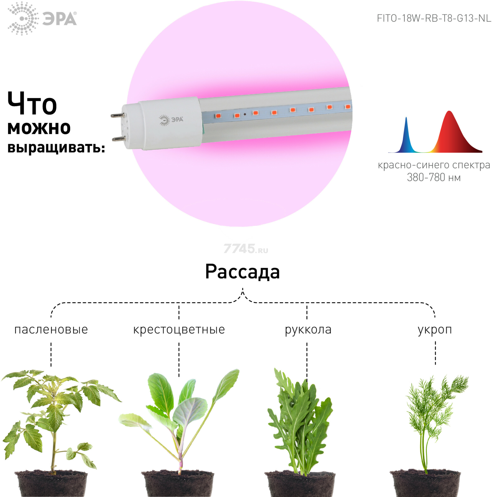 Фитолампа для растений красно-синего спектра ЭРА FITO-18W-RB-Т8-G13-NL Т8 G13 18 Вт - Фото 4