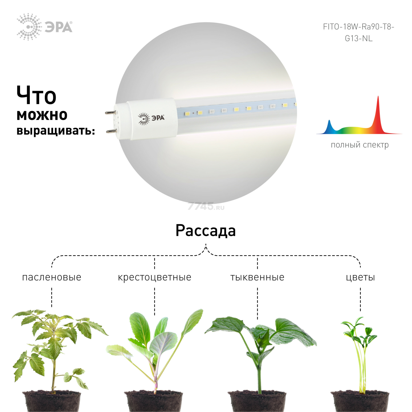 Фитолампа для растений полного спектра ЭРА FITO-18W-Ra90-Т8-G13-NL Т8 G13 18 Вт - Фото 2