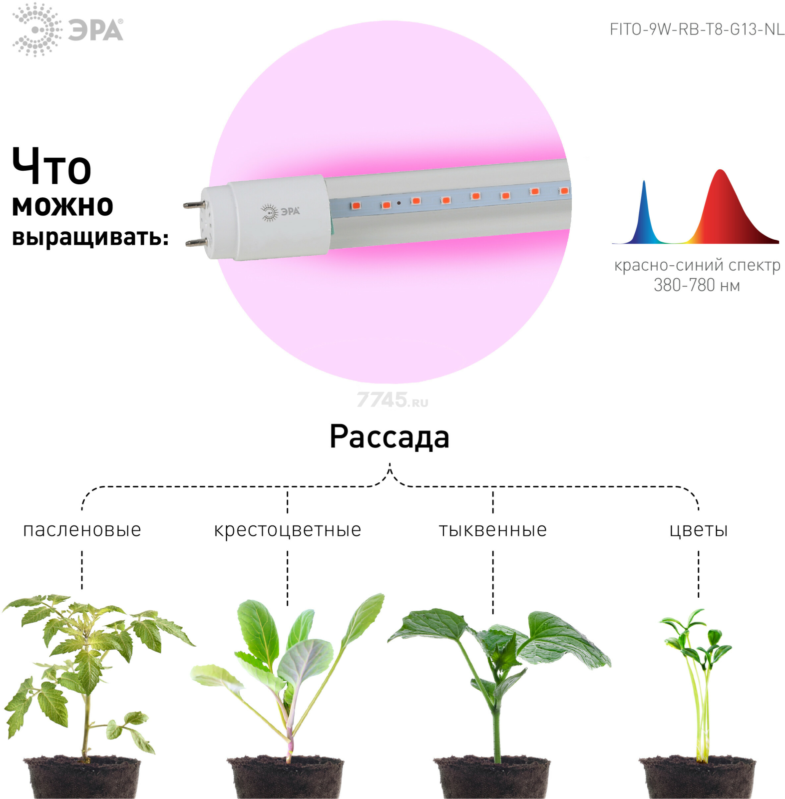 Фитолампа для растений красно-синего спектра ЭРА FITO-9W-RB-Т8-G13-NL Т8 G13 9 Вт - Фото 4