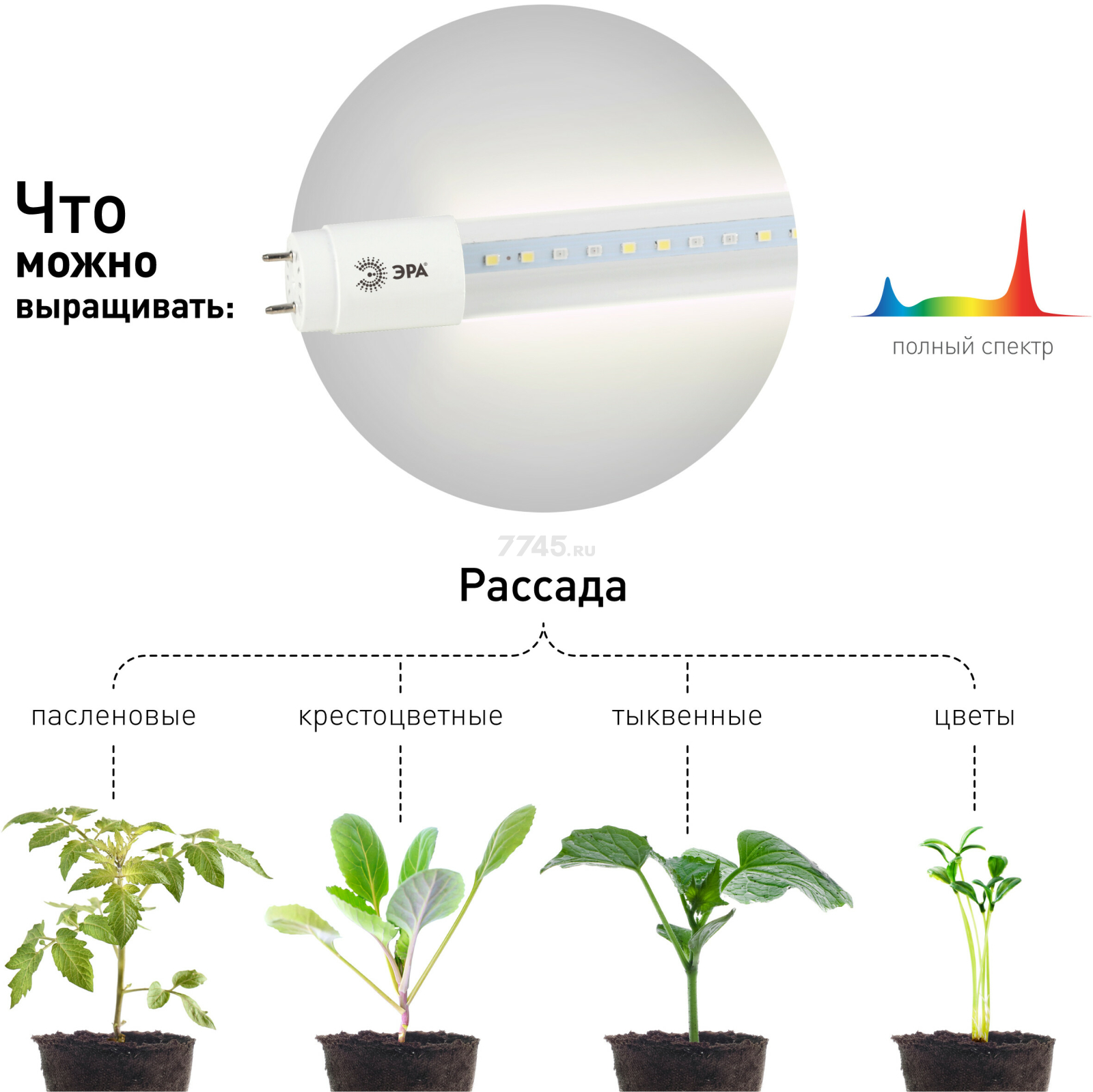 Фитолампа для растений полного спектра ЭРА FITO-9W-Ra90-Т8-G13-NL Т8 G13 9 Вт (Б0042988) - Фото 7