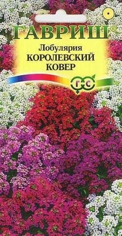 Семена лобулярии Сад ароматов Королевский ковер ГАВРИШ 0,1 г (10001636)