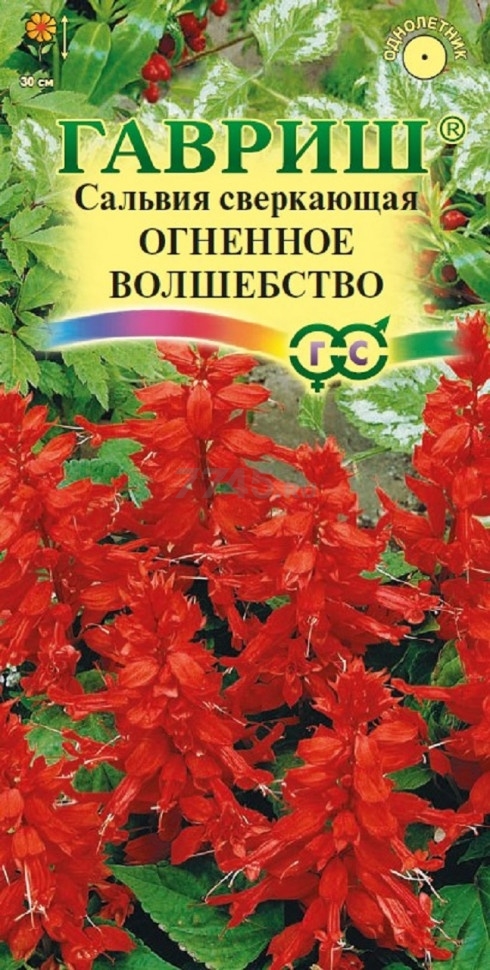 Семена сальвии сверкающей Цветочная коллекция Огненное волшебство ГАВРИШ 0,1 г (00001651)