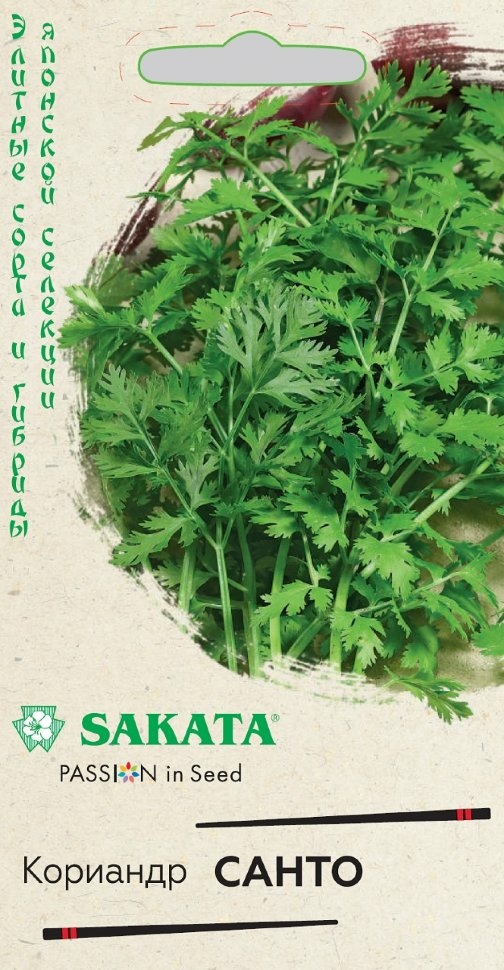 Семена кориандра Элитные сорта и гибриды Sakata Санто ГАВРИШ 2 г (1912236671)