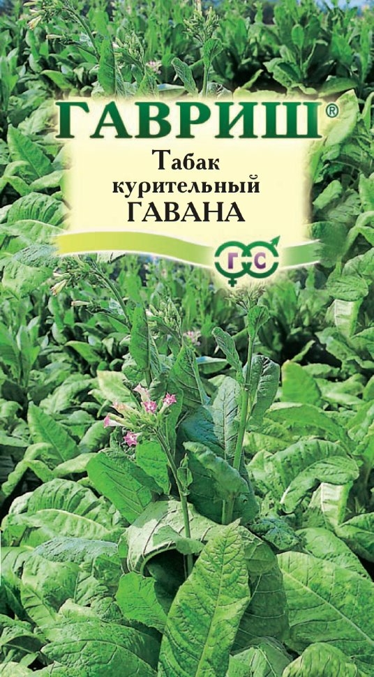 Семена табака Цветочная коллекция Гавана ГАВРИШ 0,01 г (1912238160)