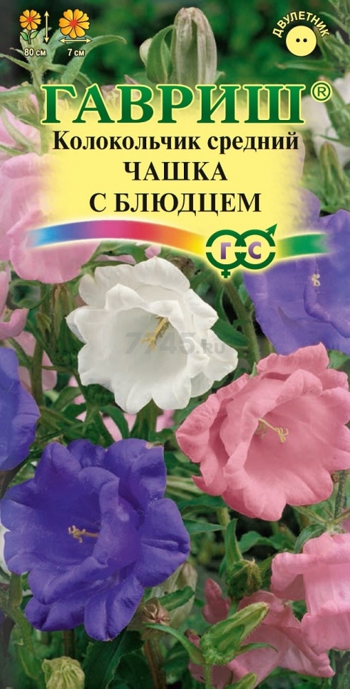 Семена колокольчика среднего Цветочная коллекция Чашка с блюдцем ГАВРИШ 0,1 г (001147)