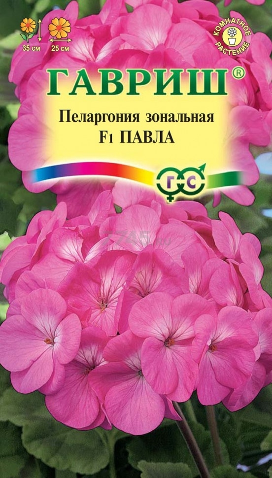 Семена пеларгонии зональной Цветочная коллекция Павла F1 ГАВРИШ 4 штуки (4602060)