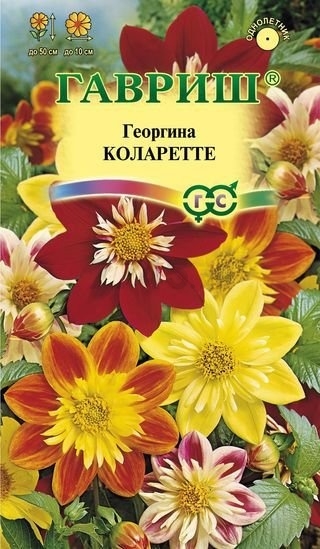 Семена георгины Цветочная коллекция Коларетте ГАВРИШ 0,2 г (10006622)