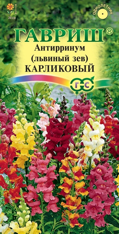 Семена львиного зева (антирринума) Цветочная коллекция Карликовый смесь ГАВРИШ 0,1 г (002300)