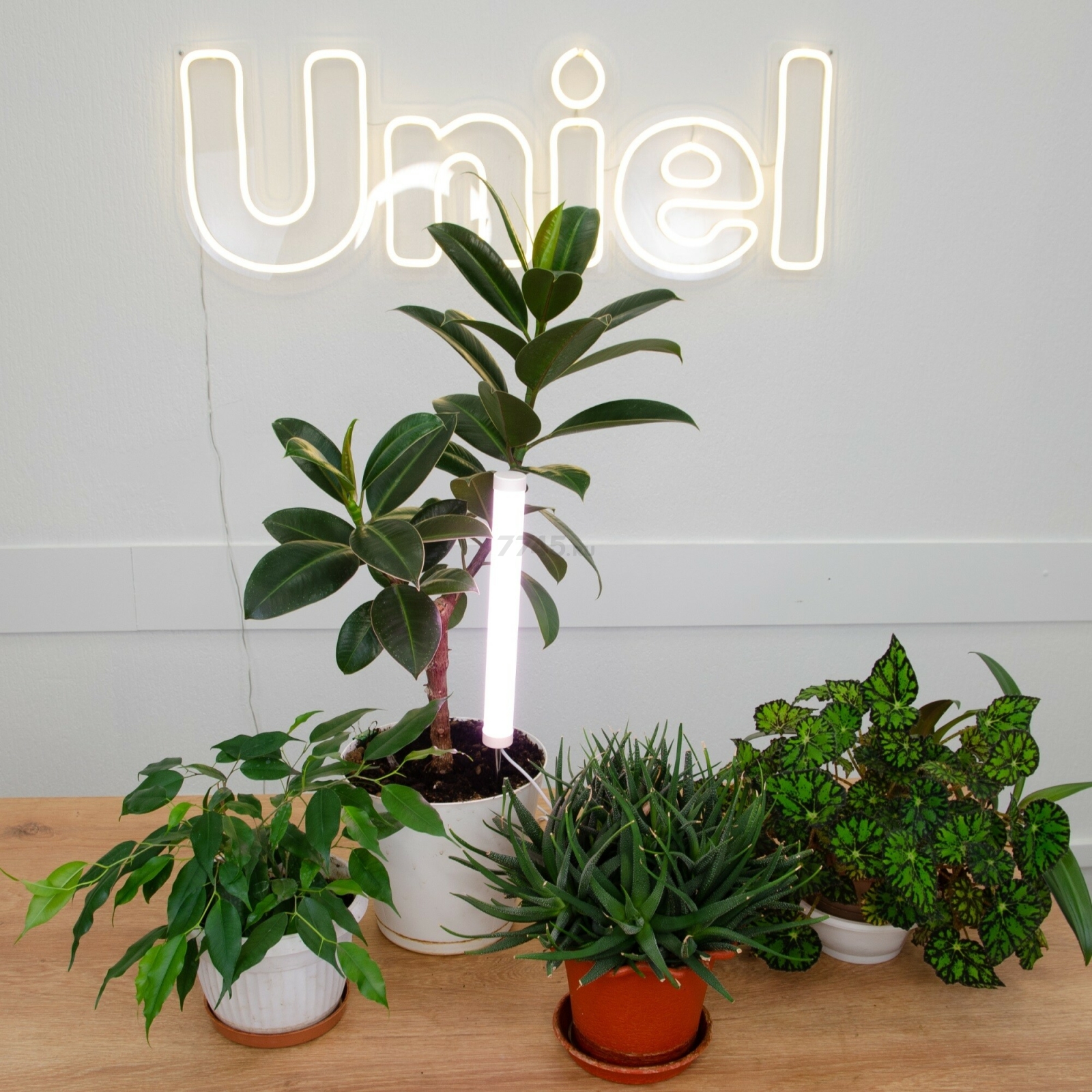 Светильник для растений полного спектра UNIEL ULT-P39 6 Вт (UL-00007147) - Фото 6