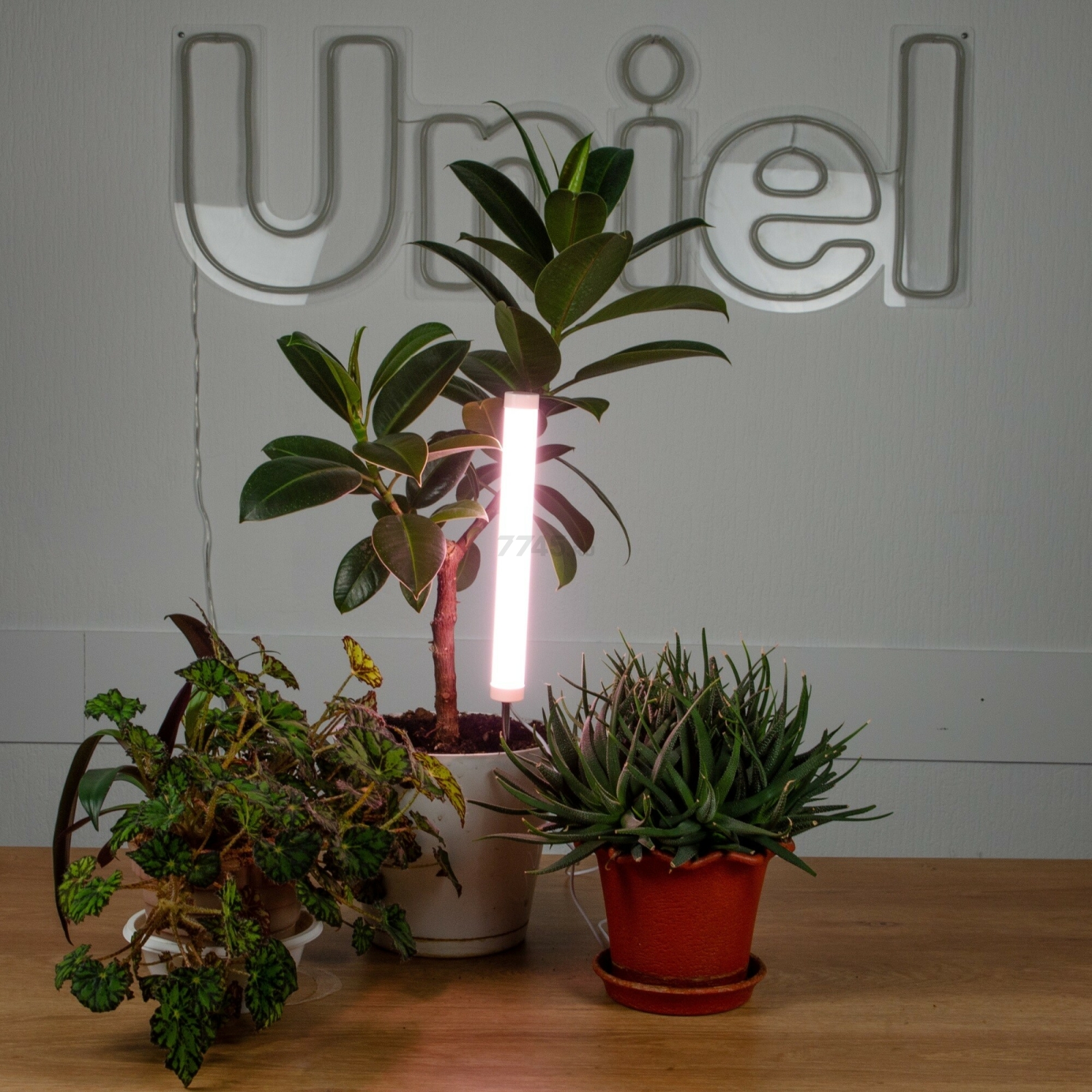 Светильник для растений полного спектра UNIEL ULT-P39 6 Вт (UL-00007147) - Фото 7
