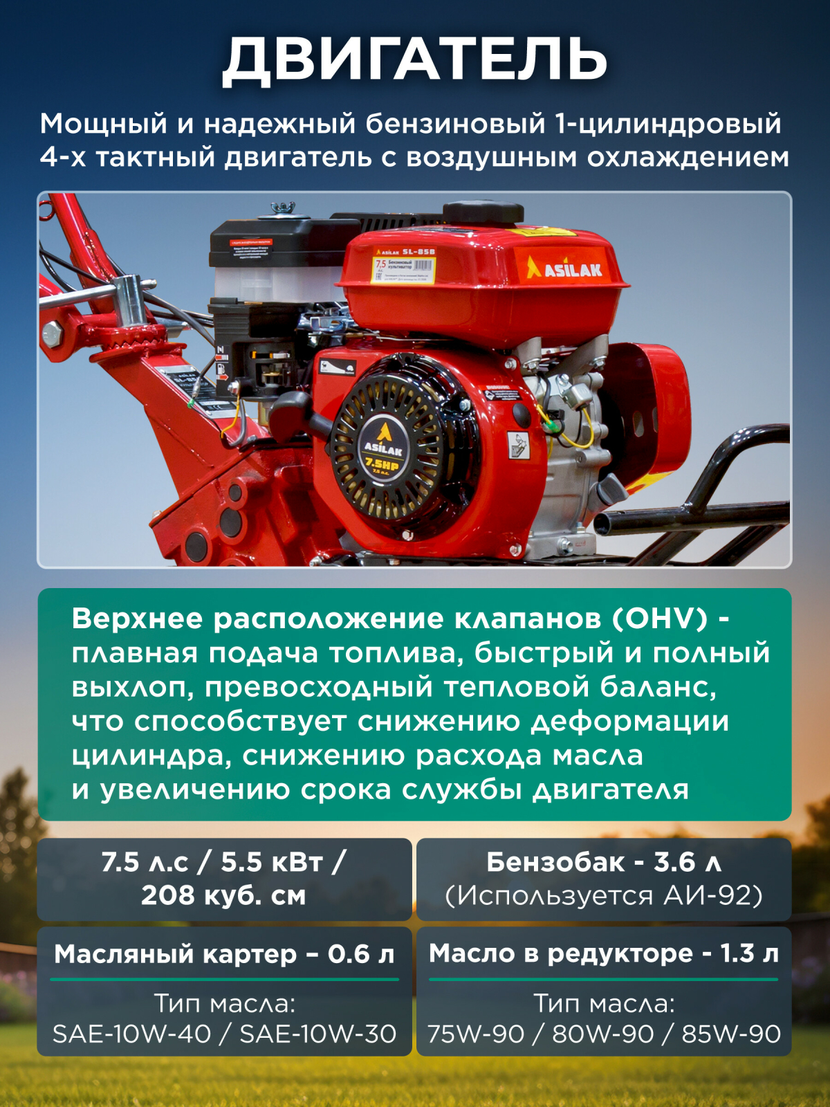 Культиватор бензиновый ASILAK SL-85B (AS1529-8) - Фото 4
