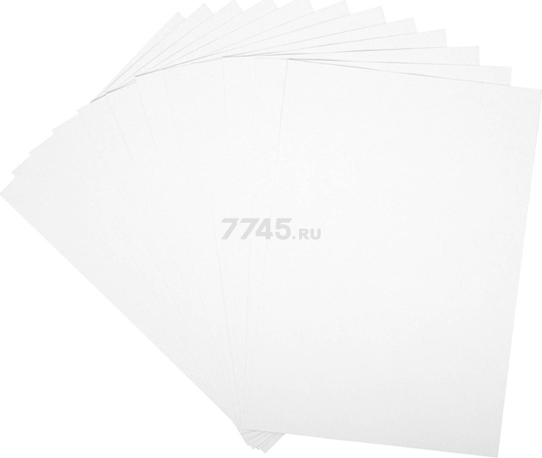 Картон белый А4 ARTSPACE Морской котик 12 листов (Нкн12б_28644) - Фото 3