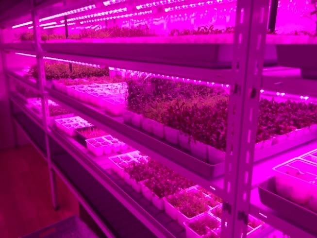 Светильник накладной светодиодный PPG T8i-1200 Agro 15 Вт JAZZWAY (5000766) - Фото 4