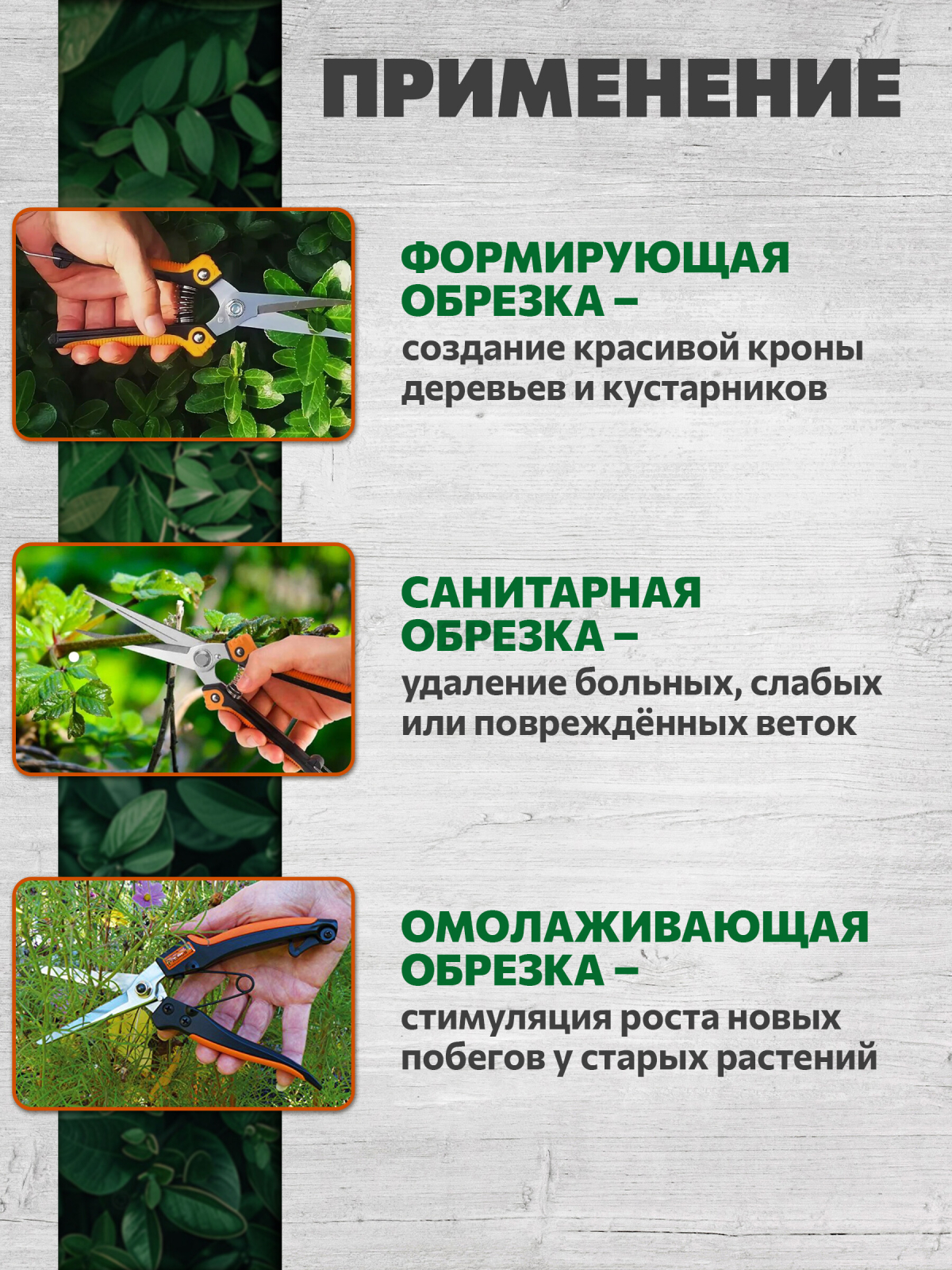 Секатор плоскостной STARTUL GARDEN (ST6410-05) - Фото 4