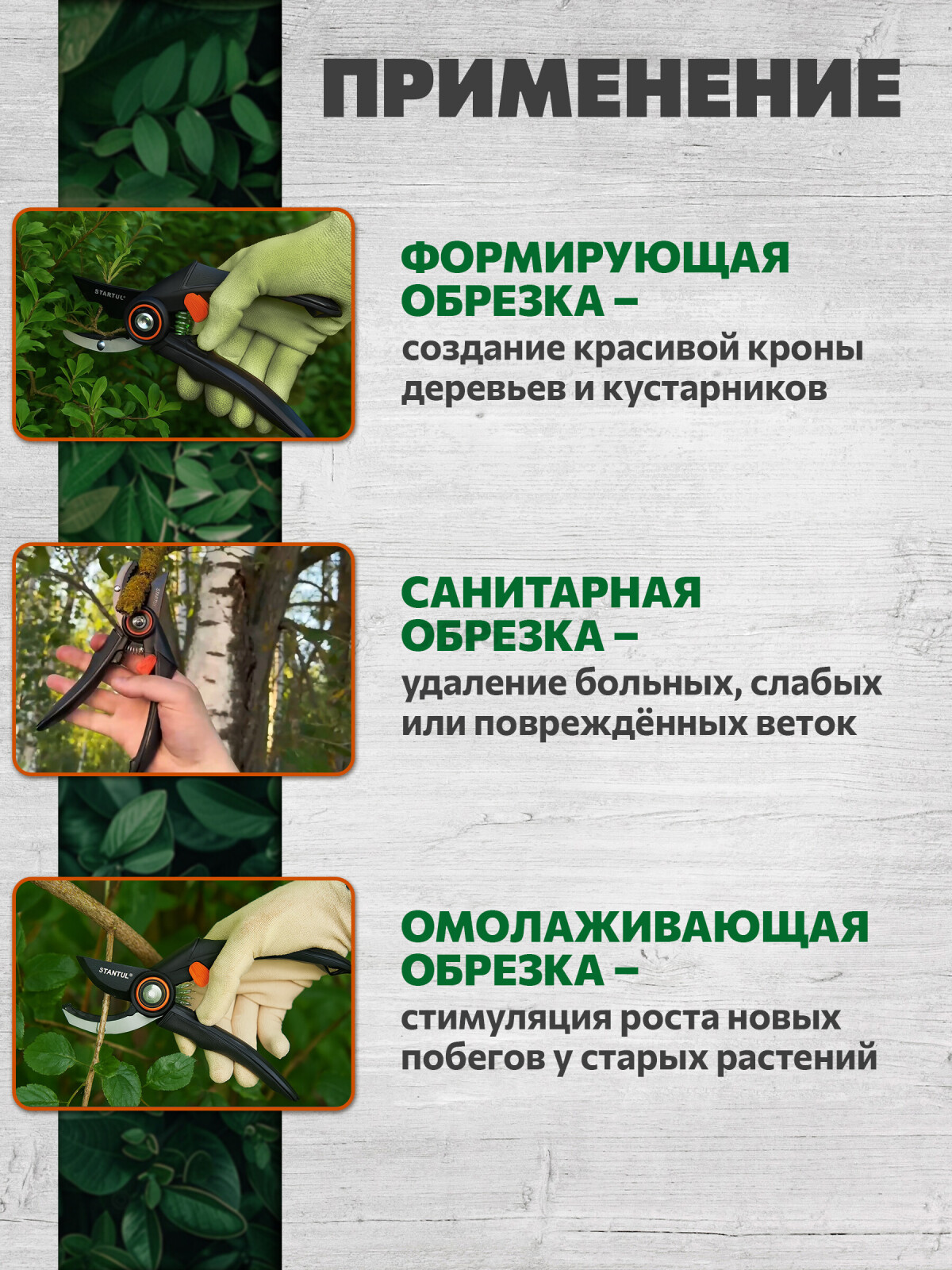 Секатор контактный STARTUL GARDEN (ST6410-01) - Фото 4