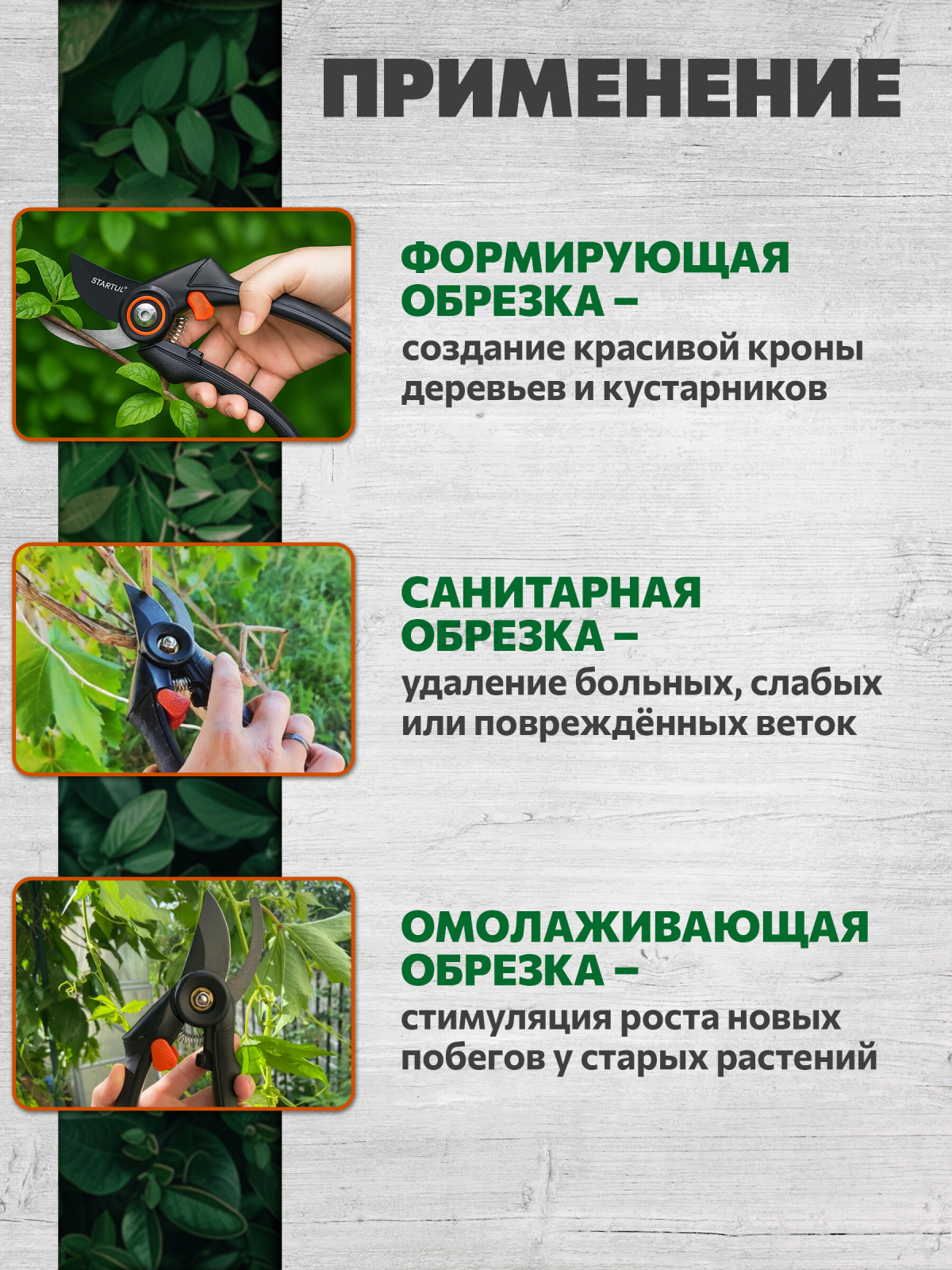 Секатор плоскостной STARTUL GARDEN (ST6410-02) - Фото 4