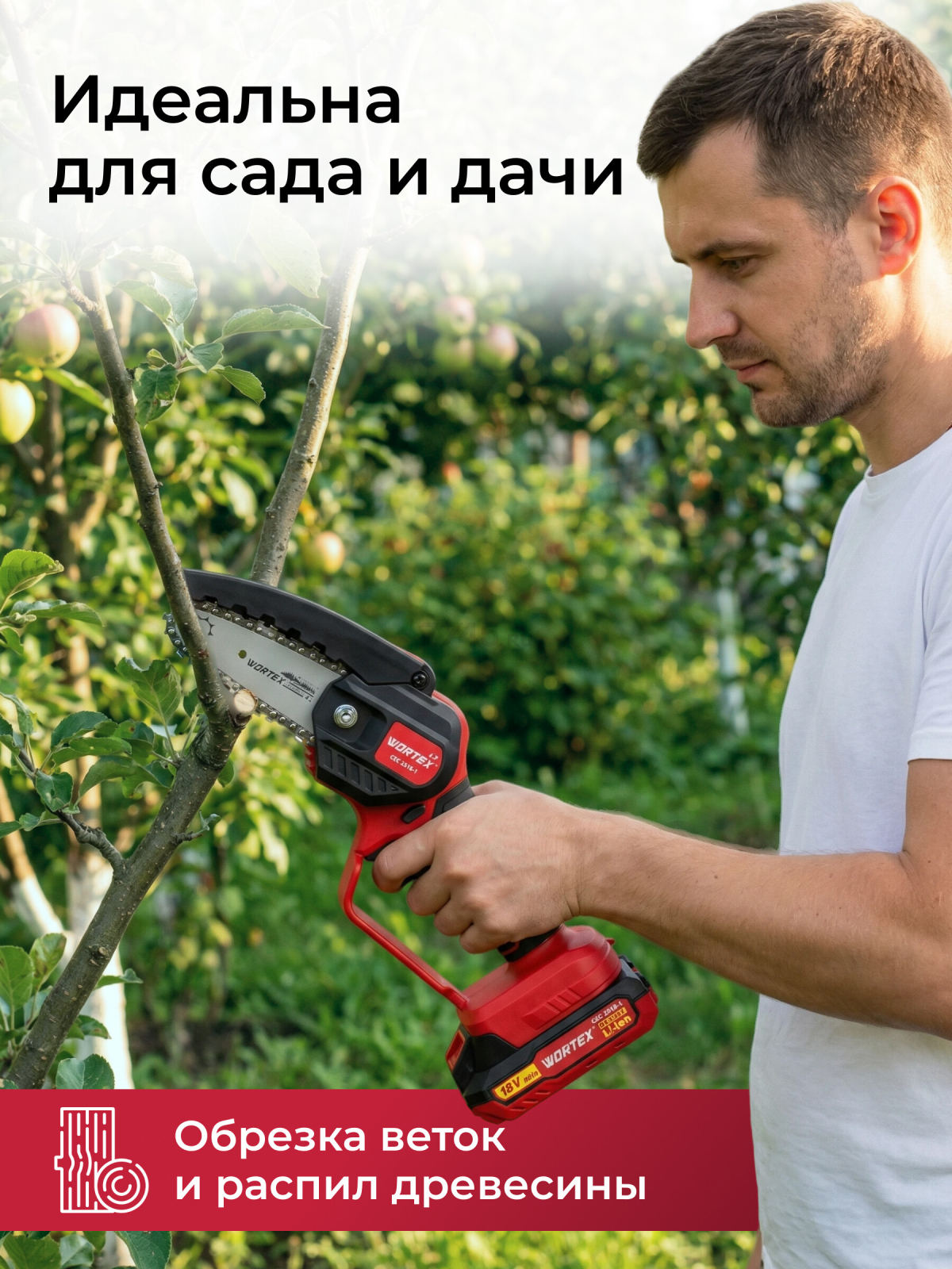 Пила цепная аккумуляторная WORTEX LX CEC 2518-1 XLT SET (1329493)