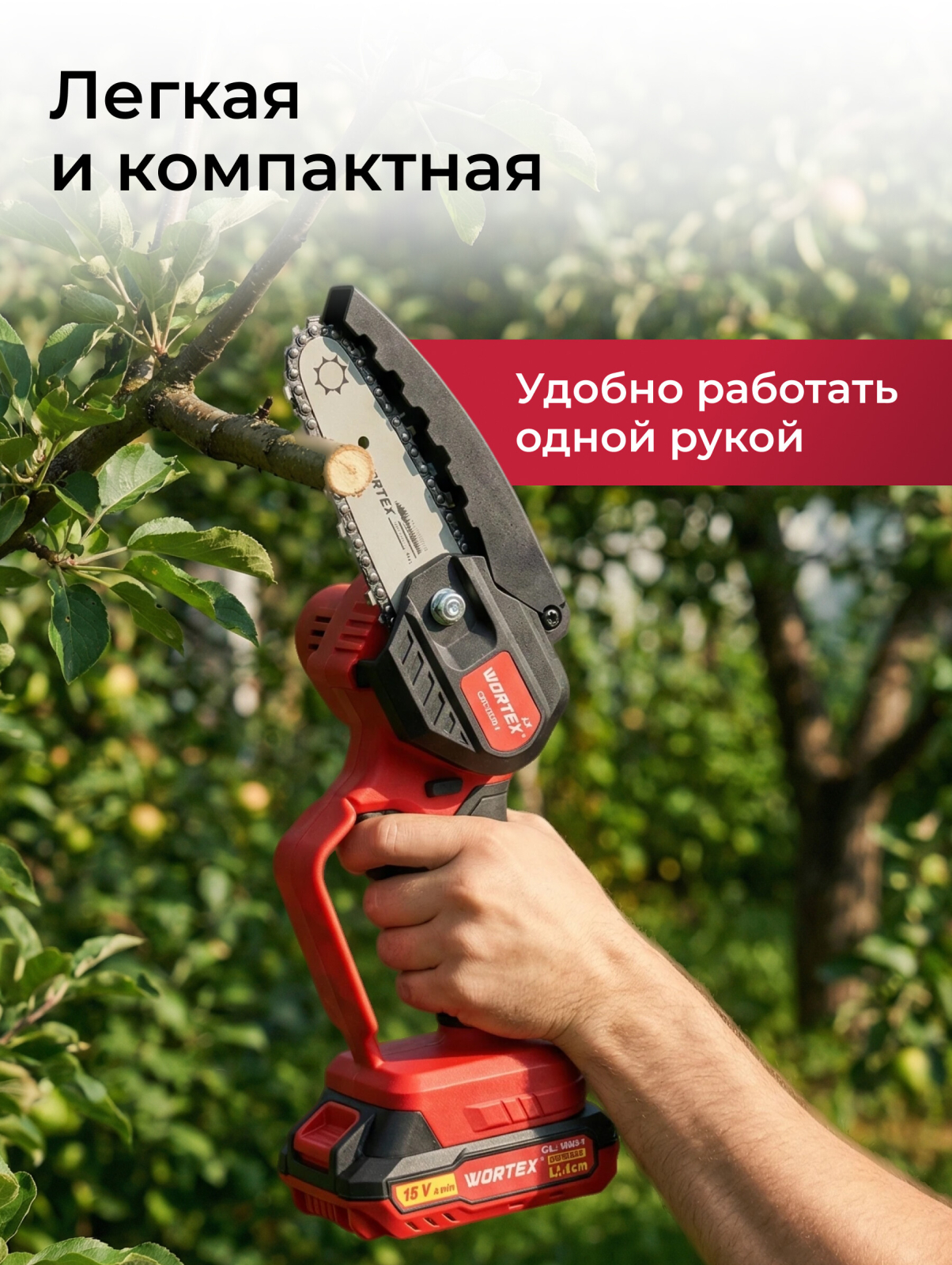 Пила цепная аккумуляторная WORTEX LX CEC 2518-1 XLT SET (1329493) - Фото 2