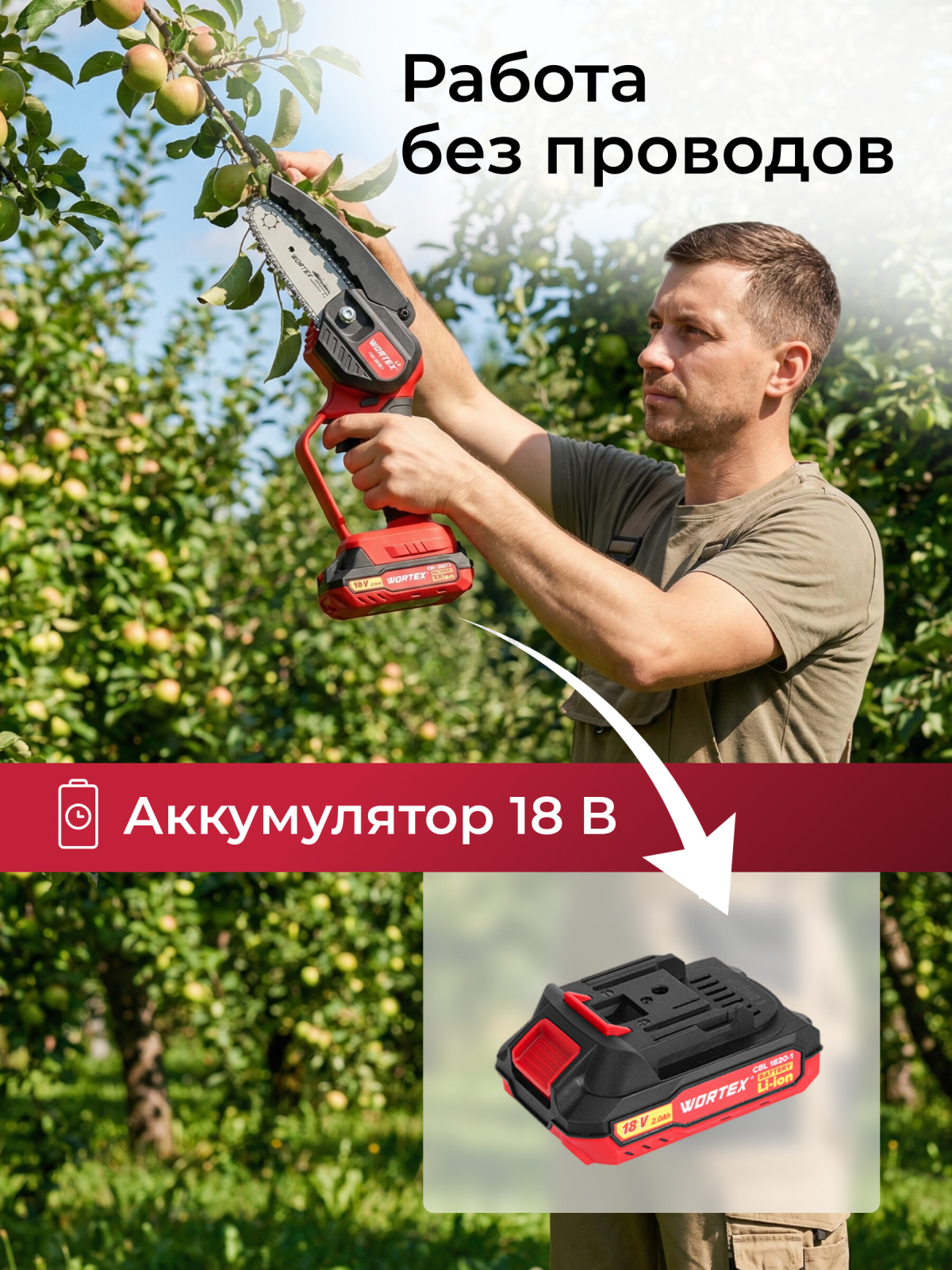 Пила цепная аккумуляторная WORTEX LX CEC 2518-1 XLT SET (1329493) - Фото 3