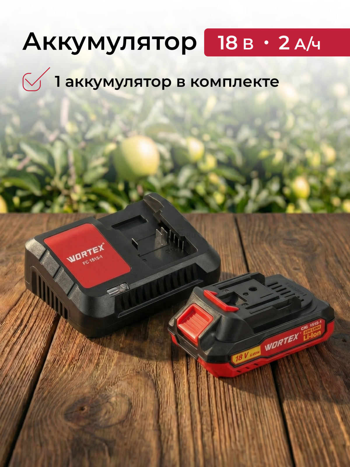 Пила цепная аккумуляторная WORTEX LX CEC 2518-1 XLT SET (1329493) - Фото 10