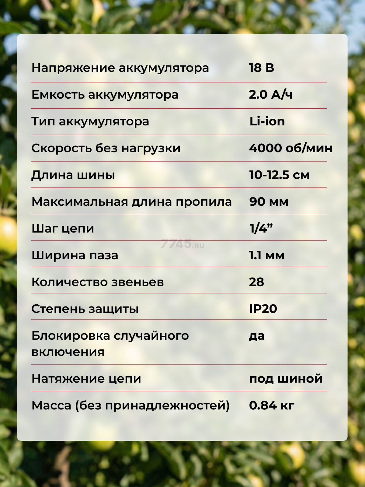 Пила цепная аккумуляторная WORTEX LX CEC 2518-1 XLT SET (1329493) - Фото 13
