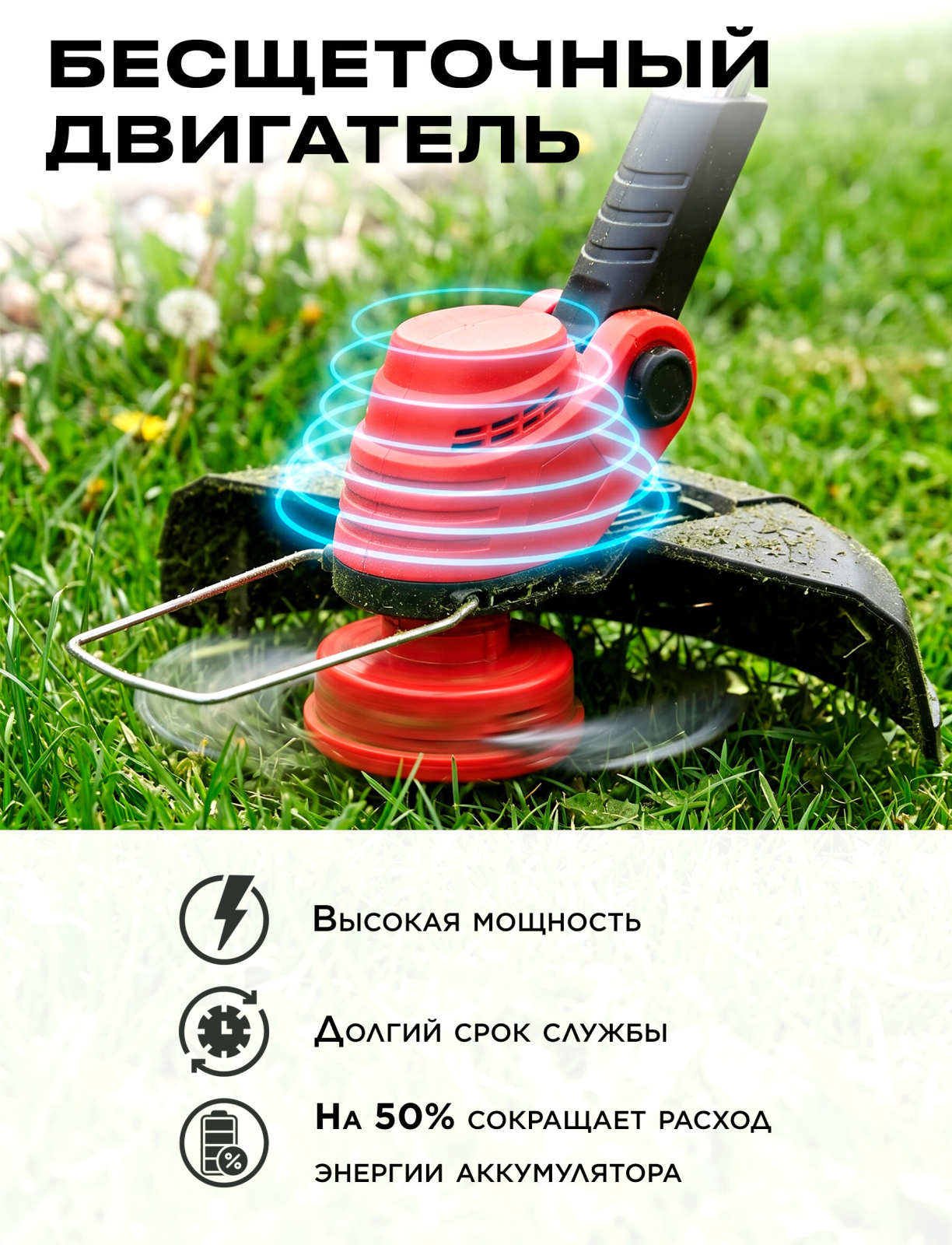 Триммер аккумуляторный WORTEX TB 3018-1 AT XLT SET (1333547) - Фото 2