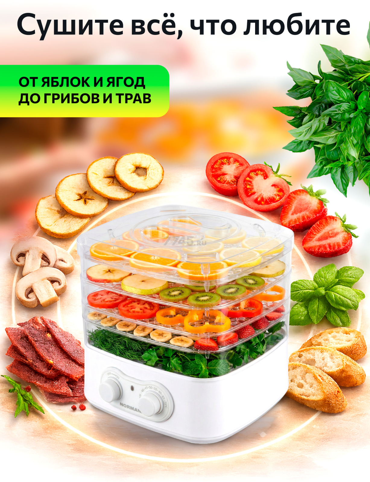 Сушилка для овощей и фруктов NORMANN AFD-801 - Фото 2