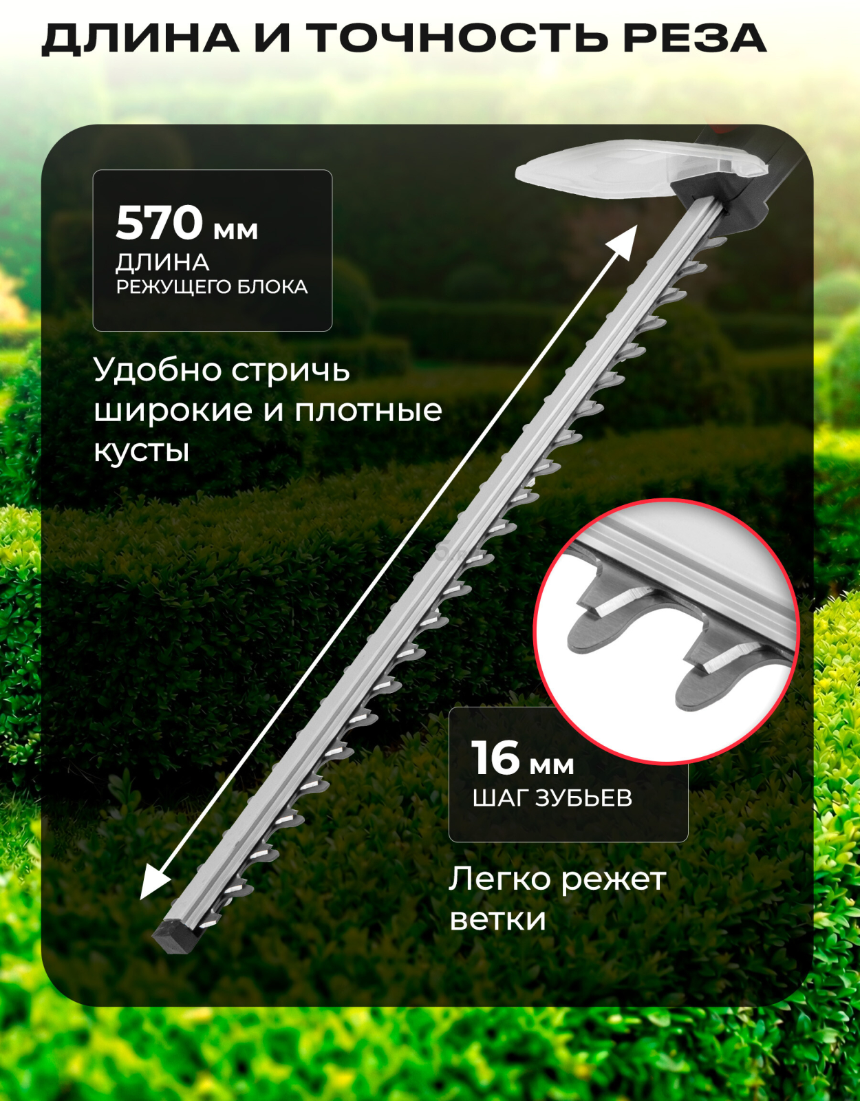 Кусторез аккумуляторный WORTEX DB 5218 XLT SOLO (1334651) - Фото 2