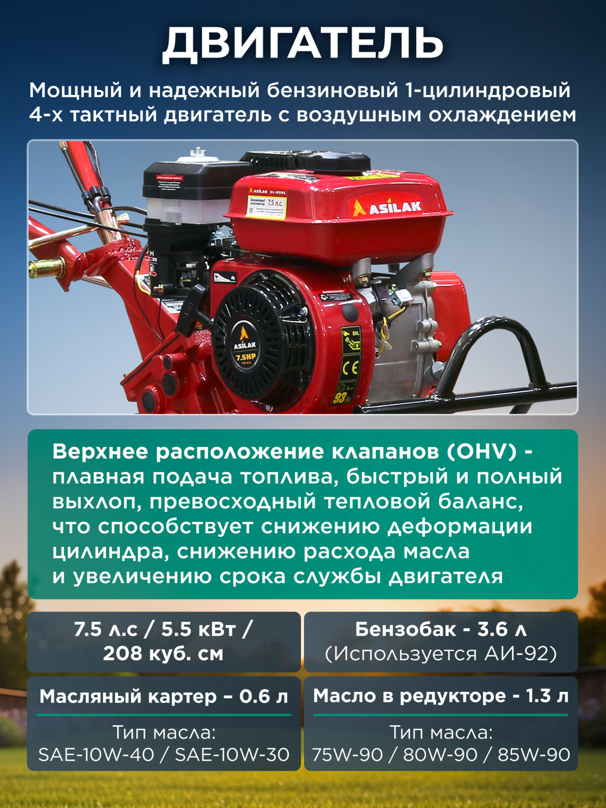 Культиватор бензиновый ASILAK SL-85BL с колесами 4.00-10 (AS2315-2) - Фото 4