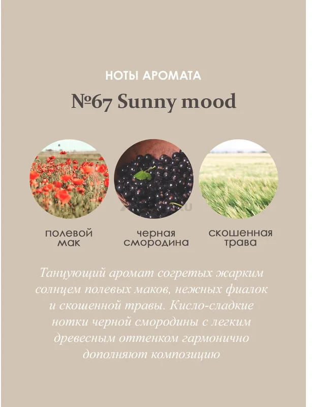 Аромадиффузор AROMA REPUBLIC №67 Sunny mood 70 мл (93830) - Фото 6