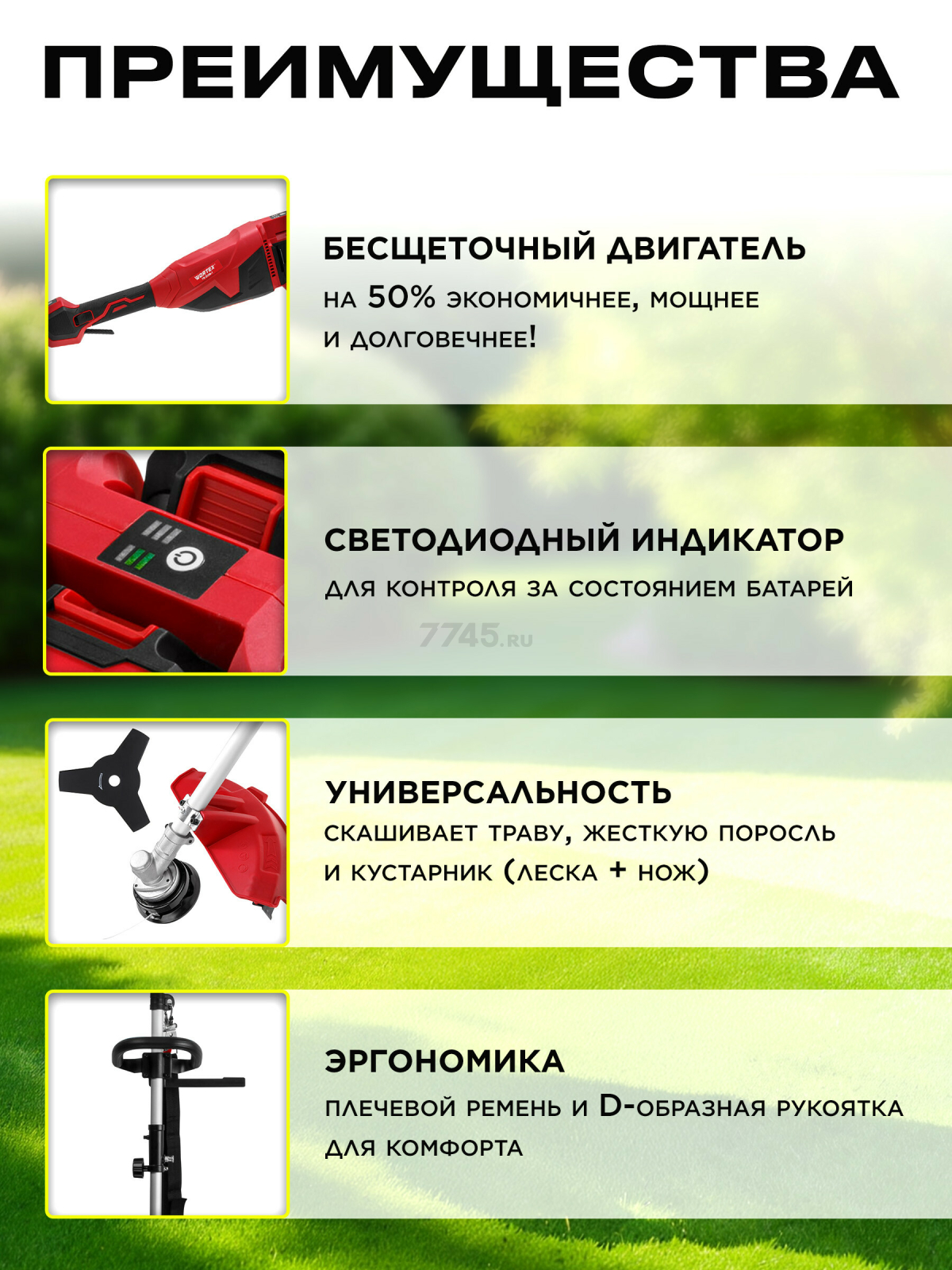 Триммер аккумуляторный WORTEX TB 3036-1 ALL1 XLT SET (1334872) - Фото 2