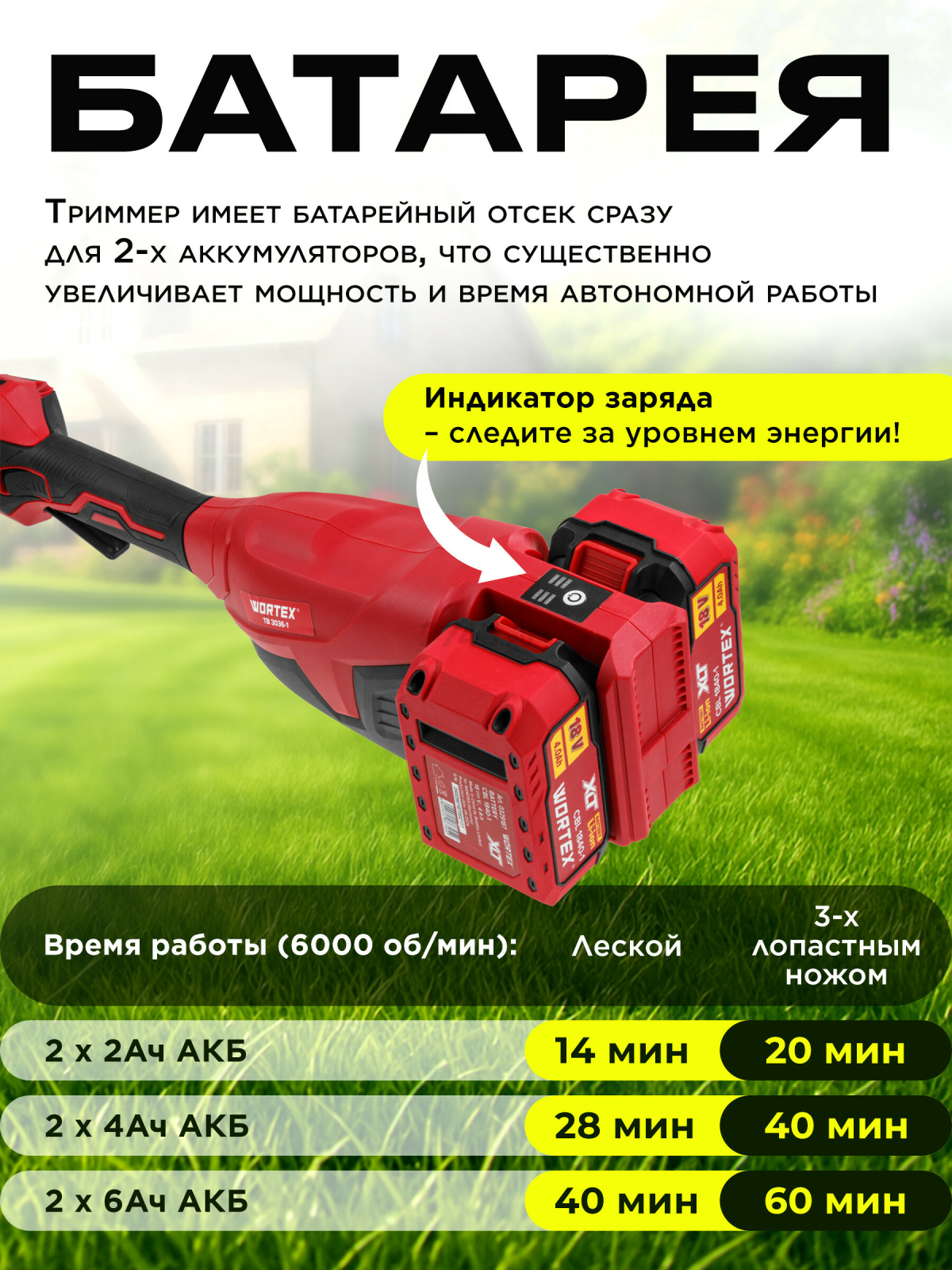 Триммер аккумуляторный WORTEX TB 3036-1 ALL1 XLT SET (1334872) - Фото 3