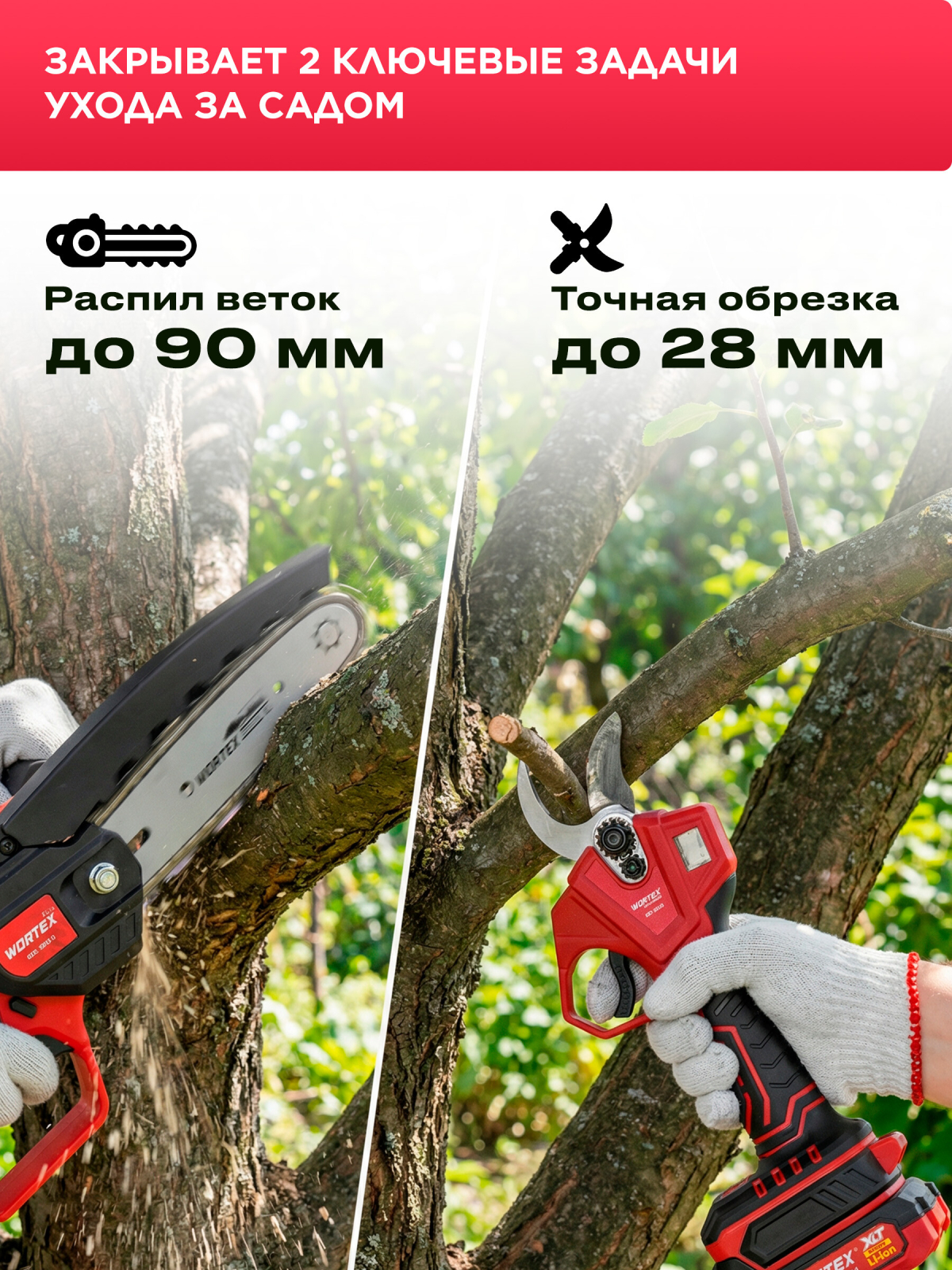 Пила цепная аккумуляторная WORTEX LX CEC 2518-1 XLT и Секатор аккумуляторный WORTEX CBS 2030 ALL1 XLT SET (1329851) - Фото 2