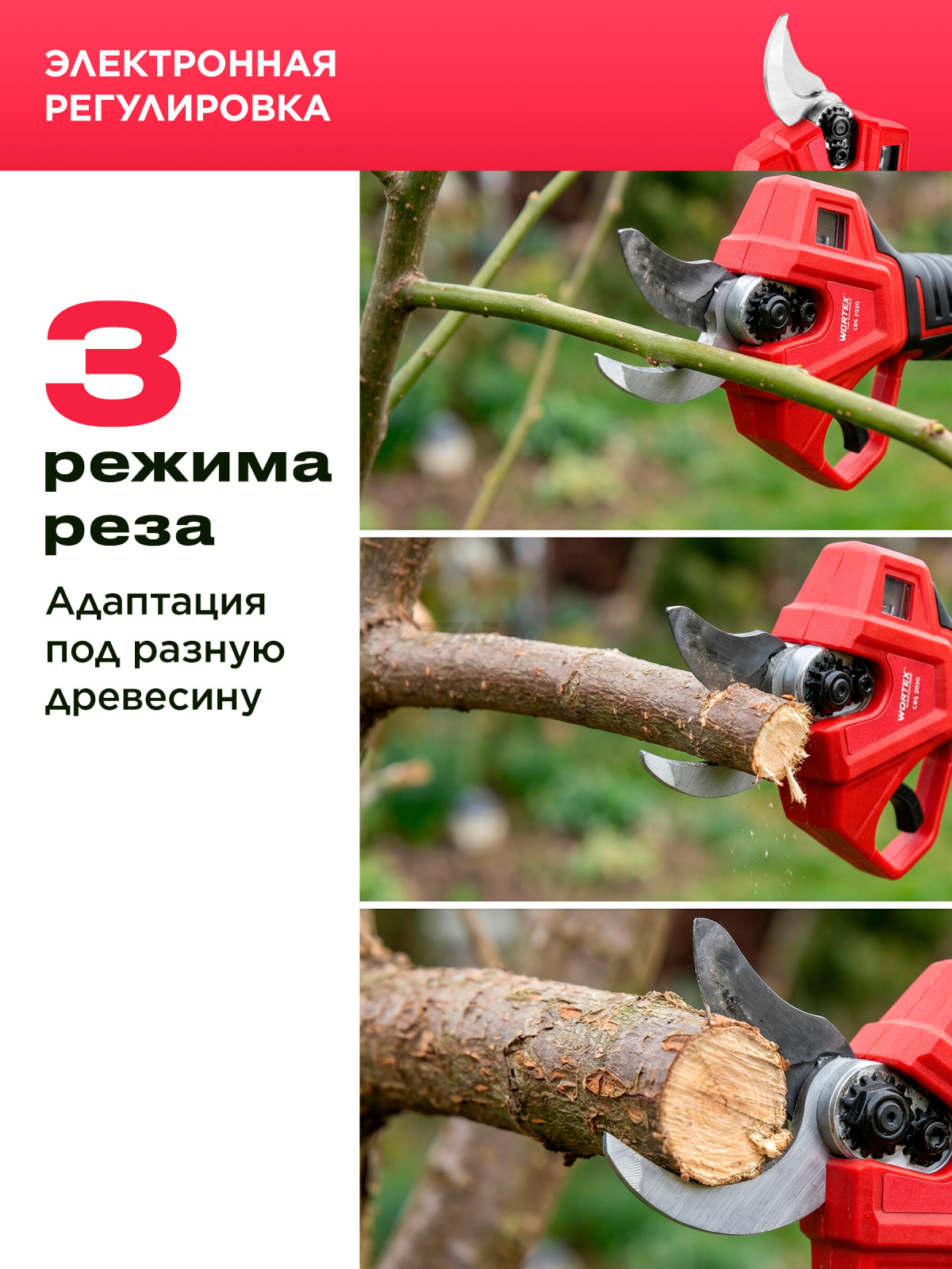 Пила цепная аккумуляторная WORTEX LX CEC 2518-1 XLT и Секатор аккумуляторный WORTEX CBS 2030 ALL1 XLT SET (1329851) - Фото 9