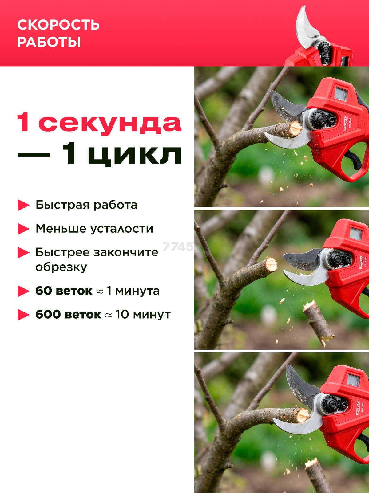 Пила цепная аккумуляторная WORTEX LX CEC 2518-1 XLT и Секатор аккумуляторный WORTEX CBS 2030 ALL1 XLT SET (1329851) - Фото 10