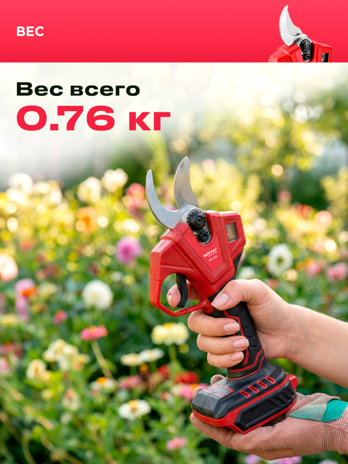 Пила цепная аккумуляторная WORTEX LX CEC 2518-1 XLT и Секатор аккумуляторный WORTEX CBS 2030 ALL1 XLT SET (1329851) - Фото 12