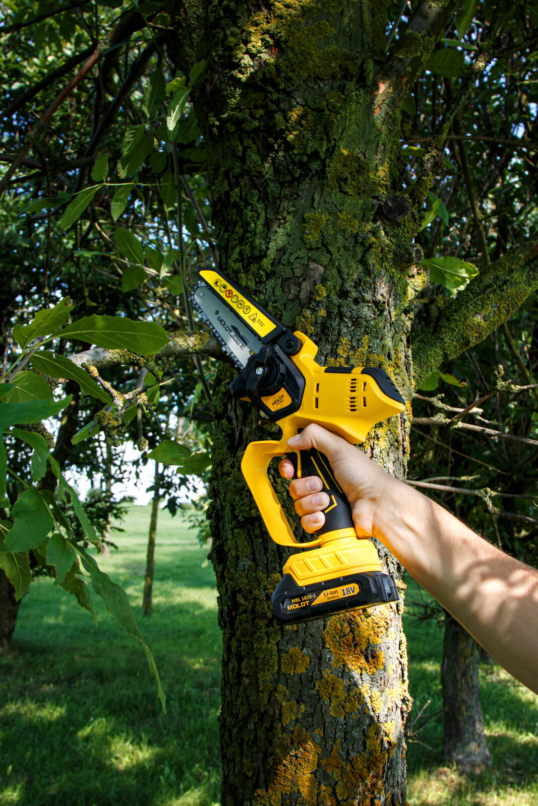 Пила цепная аккумуляторная MOLOT MMS 1805 XLT Lite SET (1334936) - Фото 24