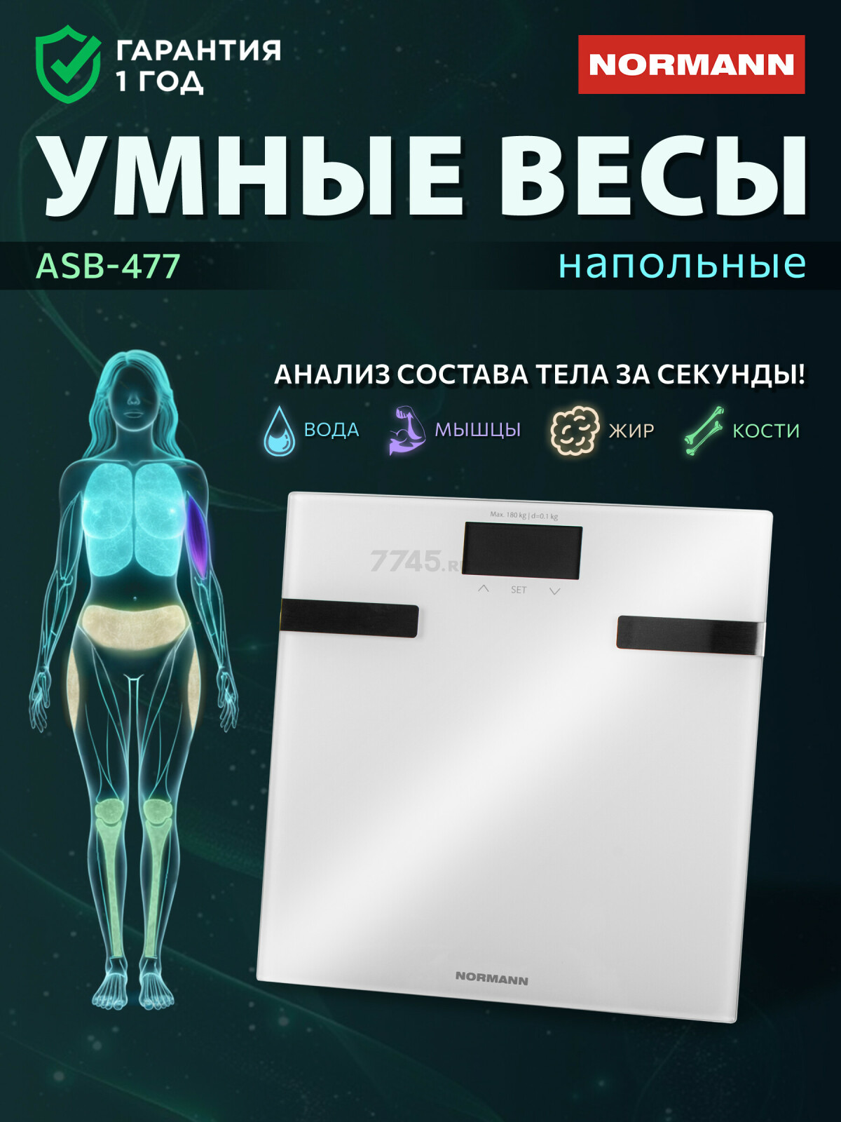 Весы напольные ASB-477 NORMANN (N16025-2)