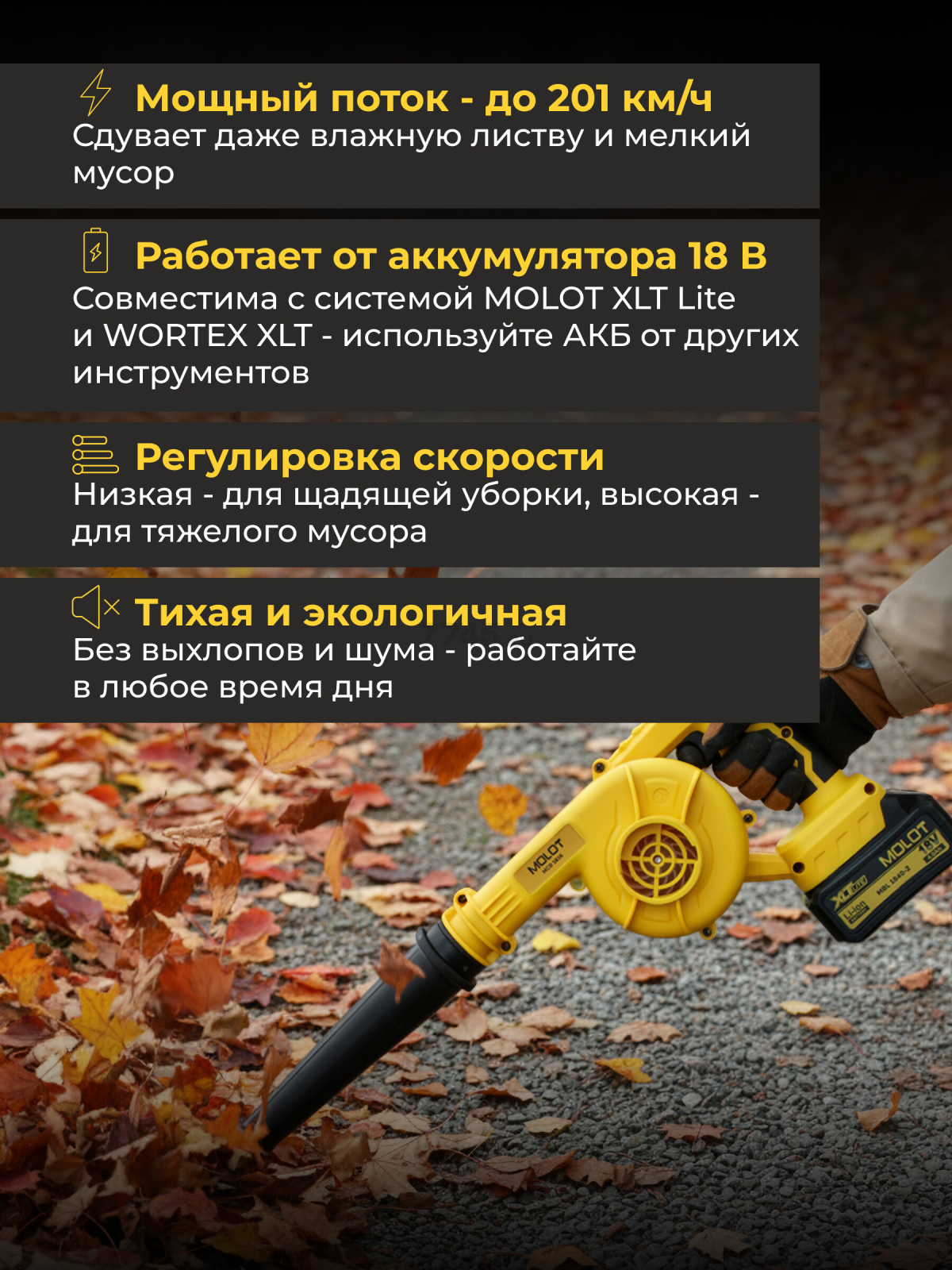 Воздуходувка аккумуляторная MOLOT MCB 1816 XLT Lite SET (2335038) - Фото 2