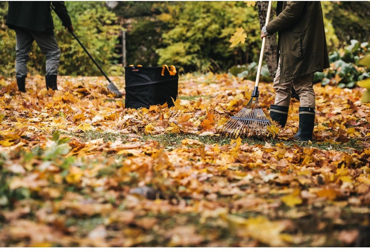 Грабли веерные FISKARS Prima (1011611) - Фото 5