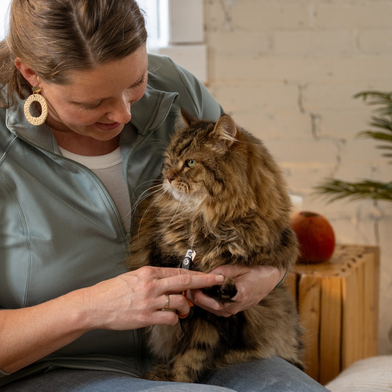 Когтерез малый PET FISKARS (2009130) - Фото 3