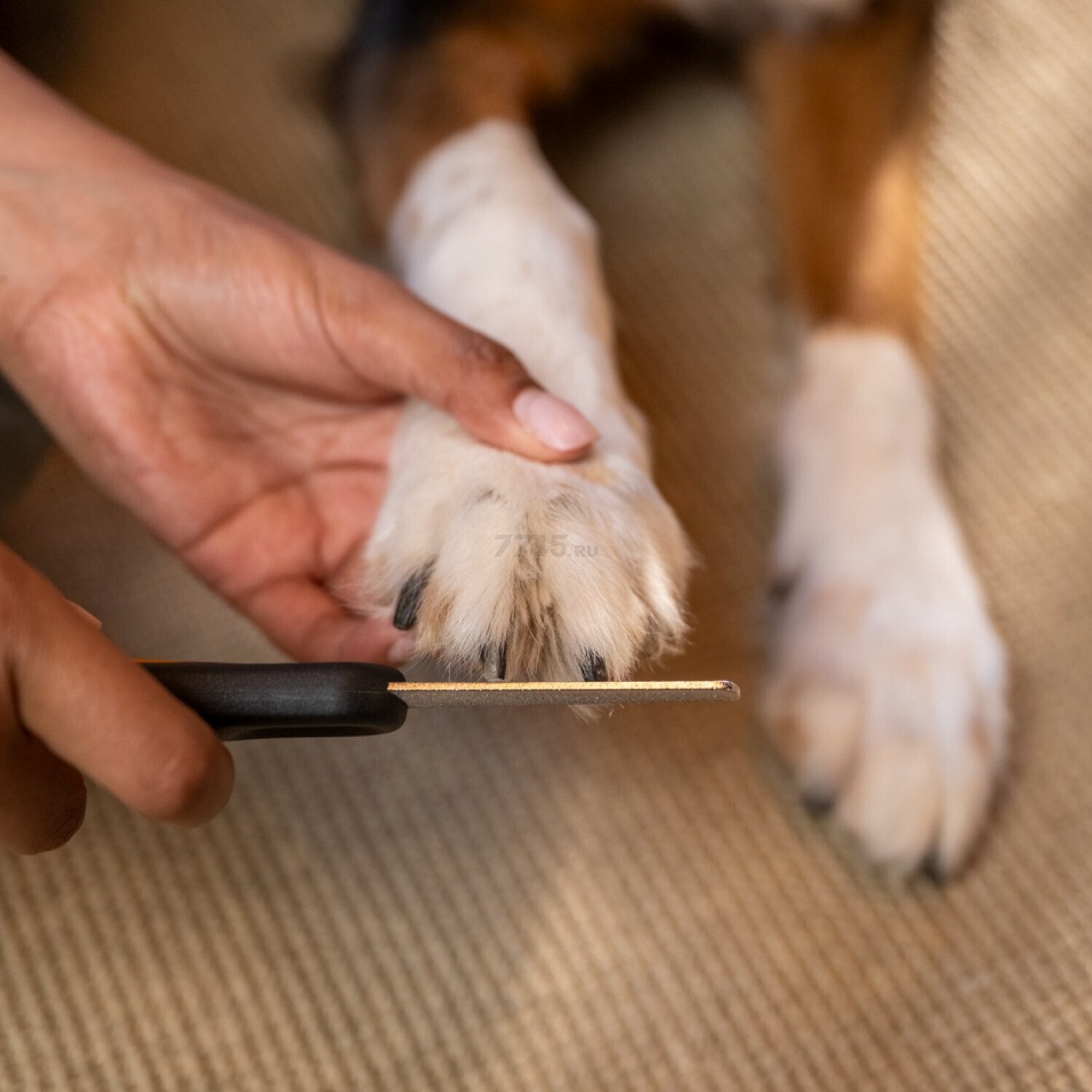 Пилочка для когтей PET FISKARS (2009142) - Фото 5