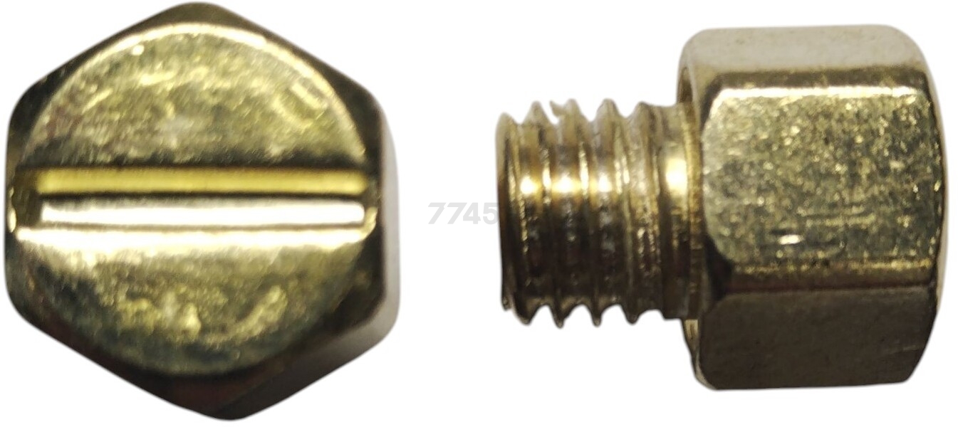 Винт для насоса садового ECO GFW-8P (QB70-4)