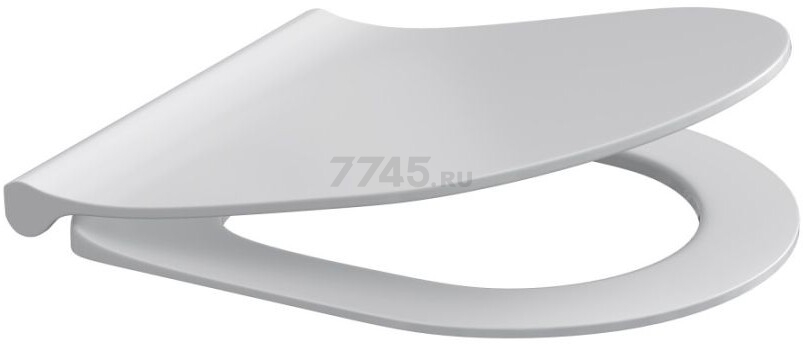 Сиденье для унитаза AV engineering STATUS (AVE129623)