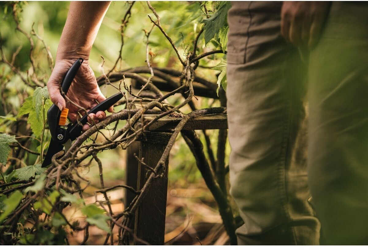 Сучкорез+секатор НАБОР L28+P26 Set FISKARS (1057760) - Фото 9