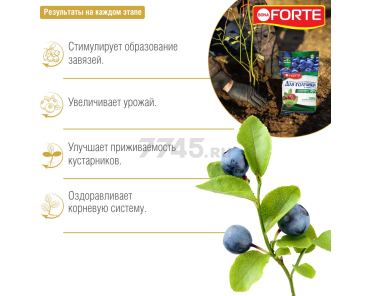 Удобрение минеральное BONA FORTE Для голубики и лесных ягод с цеолитами 2,5 кг (BF23010271) - Фото 2
