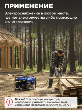 Генератор бензиновый ECO PE-4001RS
