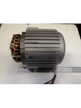Двигатель в сборе для насоса ECO DP-606 (106390)
