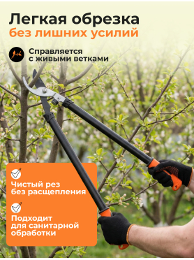Сучкорез STARTUL Garden 