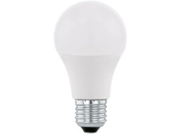 Лампа светодиодная E27 TRUENERGY A60